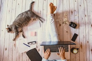 Online Therapy for California