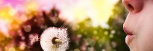 Online Therapy for California